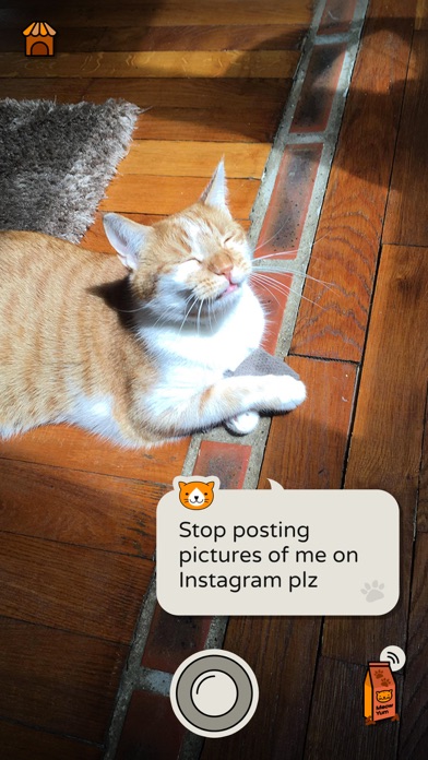 Frimousse - talk to your cat screenshot 3