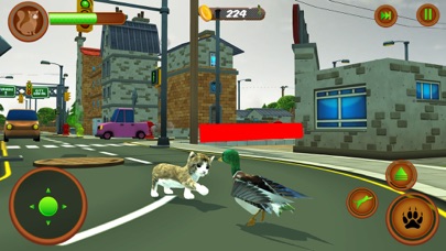 Crazy Cat Simulator Pet World screenshot 4