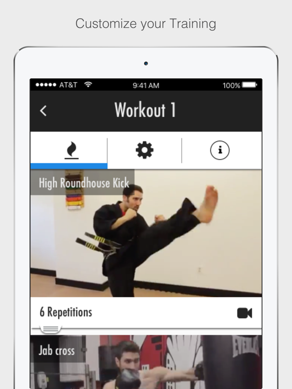 Learn Karate: Beginner to Advanced Lessons screenshot