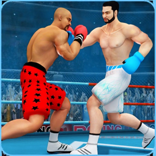 Ninja Punch Boxing icon