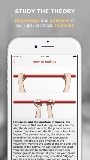 Ultimate Pull-Ups Lite