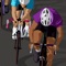 Road Cycling is a guide to all aspects of what is both a wonderful sport and also the world’s top form of transportation