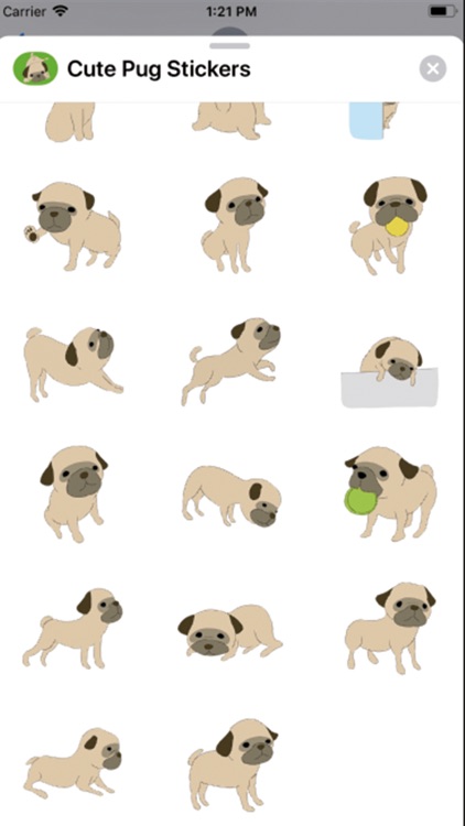 Cute Pug Stickers ！ screenshot-3