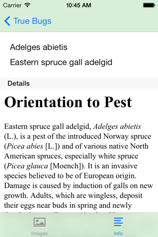 Forest Insect Pests - náhled