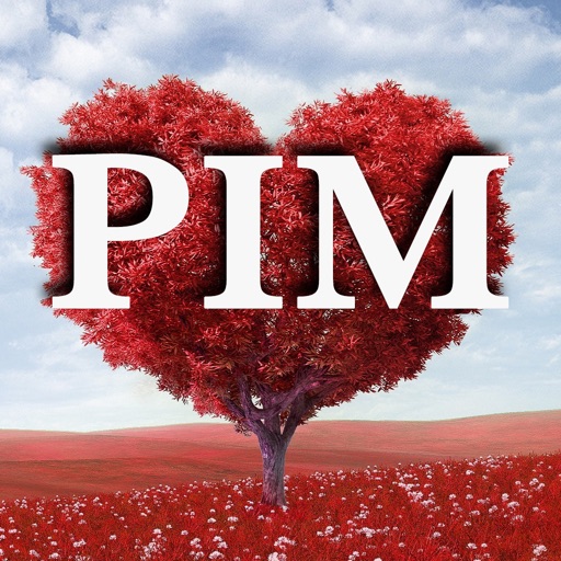 PIM - Promises in Moments