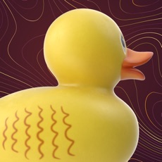 Activities of Duck Challenge