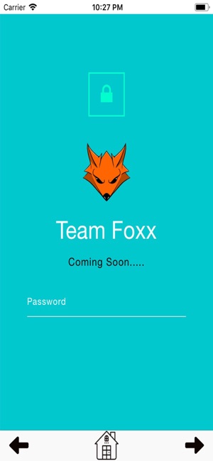 Team Foxx