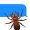 Drag & Drop Cockroaches and Other Creepy Insects in Your Messages