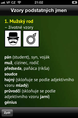 Podstatná jména - náhled