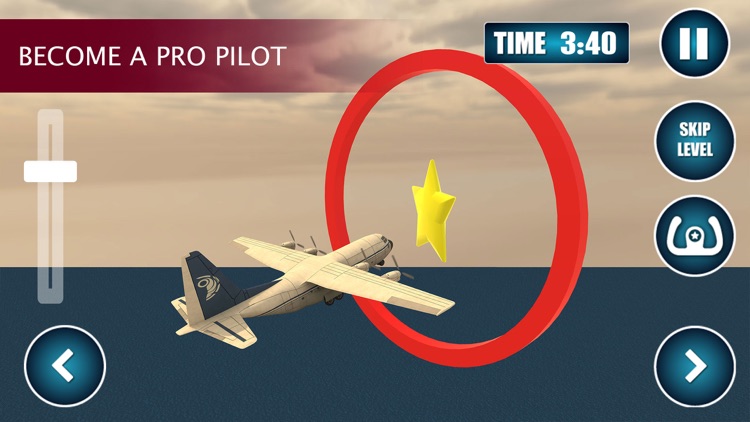 Passenger Airplane Flight Simulator
