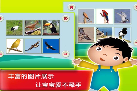 鸟儿的童年汉字早教- 教育学前班孩子的认字游戏 screenshot 2