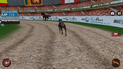 Dog Racing Tournament 2018 screenshot 1