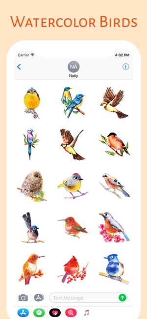 Water Color Birds(圖3)-速報App