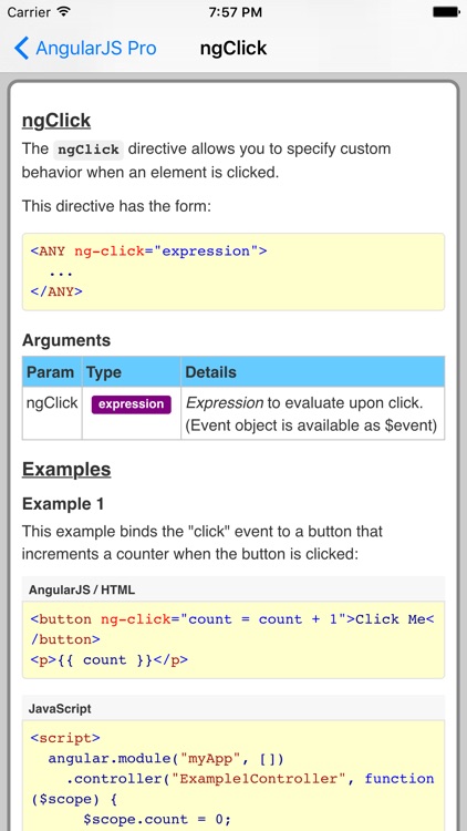 AngularJS Pro screenshot-3