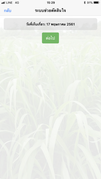 หญ้าเนเปียร์เพื่อพลังงาน screenshot 3