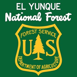 El Yunque National Forest