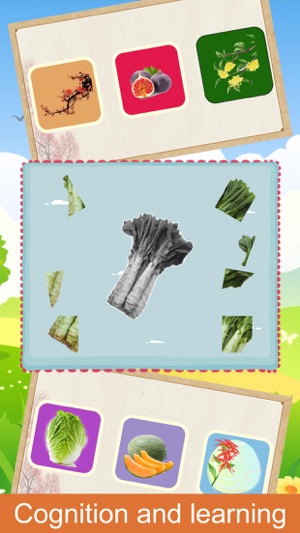 Kids Plant Puzzle(圖2)-速報App