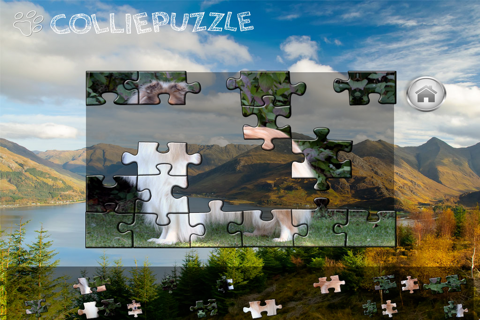 Collie Puzzle screenshot 2