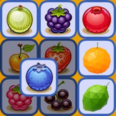 Activities of Fruit Puzzle