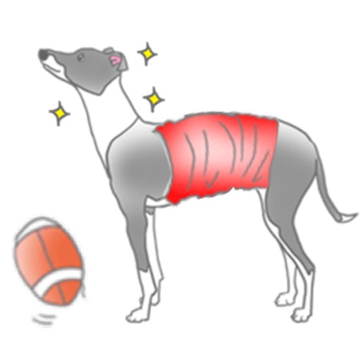 Italian Greyhound Dog IggyMoji