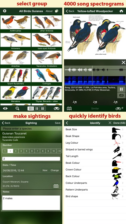 All Birds Guianas, Suriname, Guyana, French Guiana screenshot-4