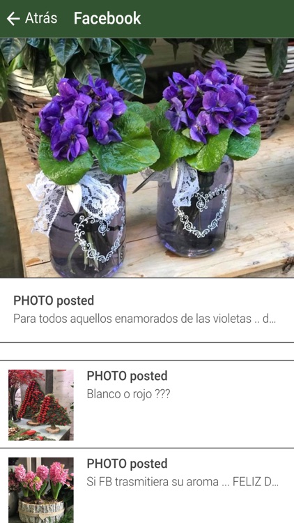 Espai Vegetal screenshot-3