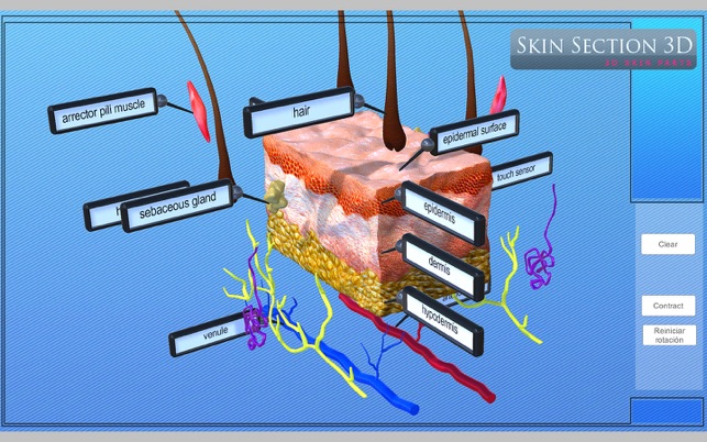 Skin Section 3D(圖4)-速報App