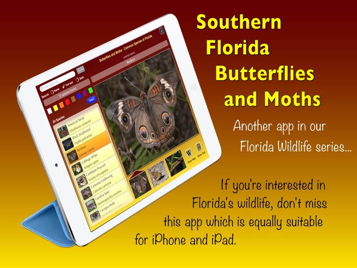 Southern Florida Butterflies