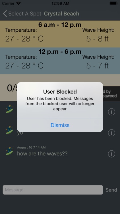 Surfer PH Wave Forecast screenshot-4