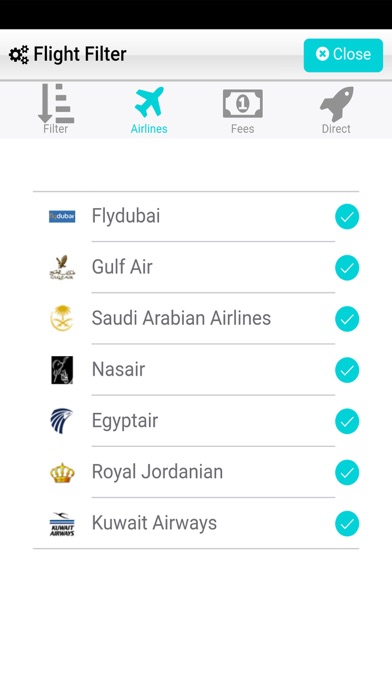 Dubai Fly screenshot 3