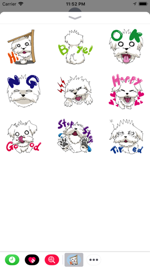 Maltese Dog Face(圖2)-速報App