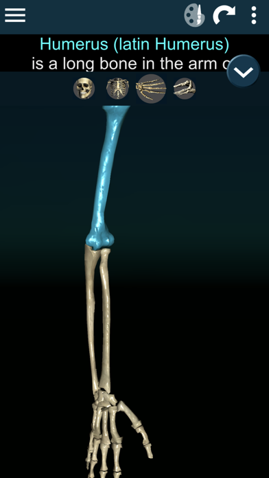 How to cancel & delete Bones 3D (Anatomy) from iphone & ipad 3