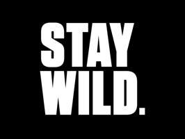 Stay Wild Sticker Pack