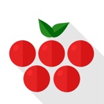 Callina call recorder