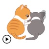 Animated Adorable Cats Sticker