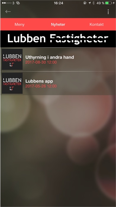 Lubben screenshot 4