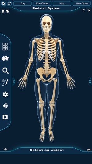 My Skeleton Anatomy(圖2)-速報App