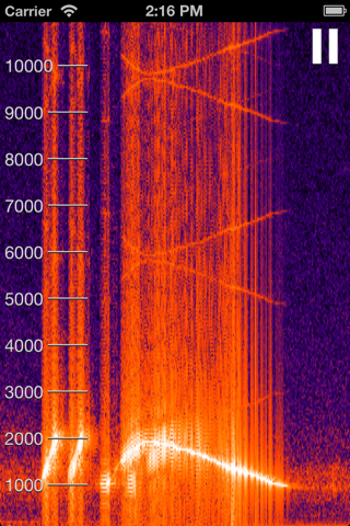Live Spectrogram screenshot 2