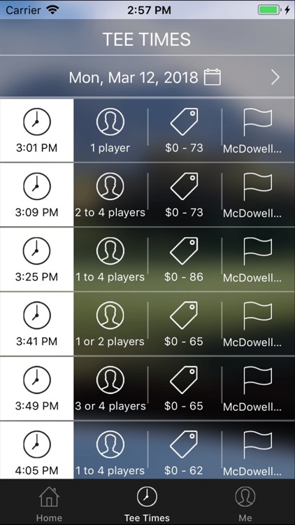 McDowell Mountain Tee Times