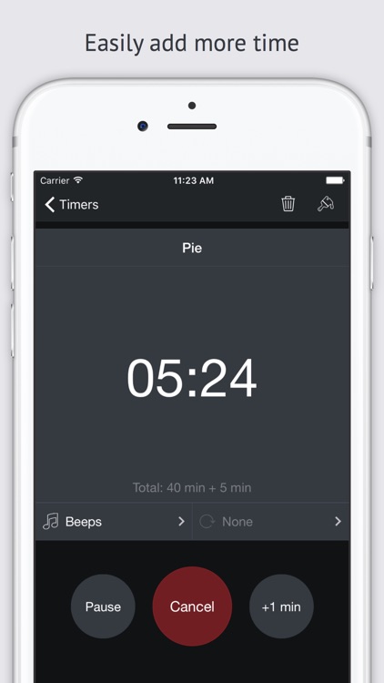 Timer+