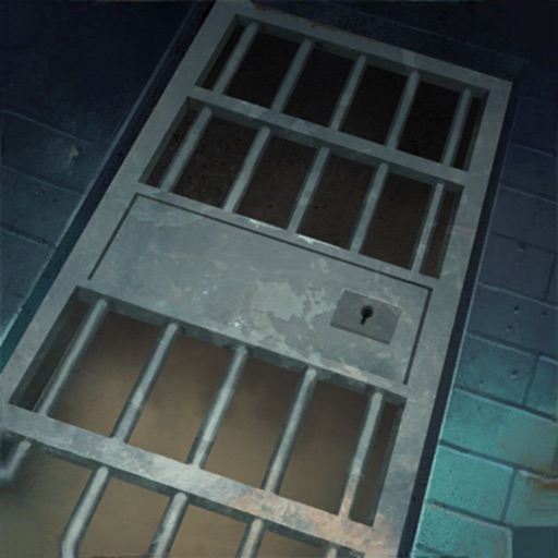 Prison Escape Puzzle
