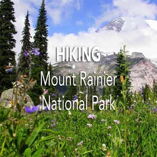 Hiking Mount Rainier
