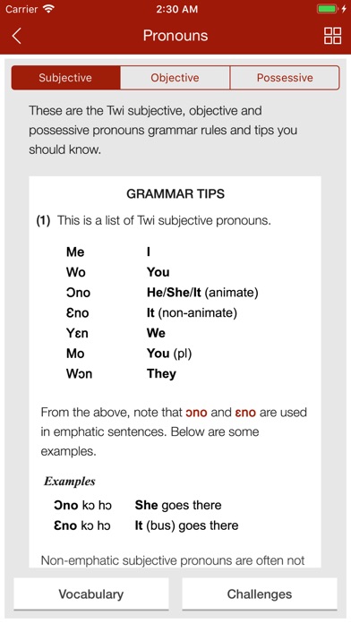 Twi Primer screenshot 2
