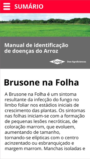 Doenças do Arroz(圖1)-速報App