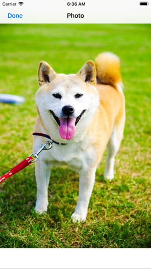 Shiba Inu Sticker Pack(圖3)-速報App