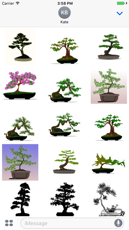 Bonsai Stickers