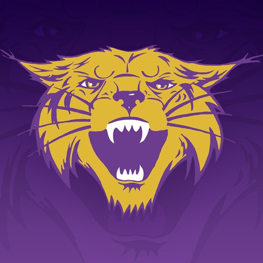 Bethel University Athletics