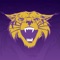 The official App of the Wildcats from the Bethel University Office of Sports Information