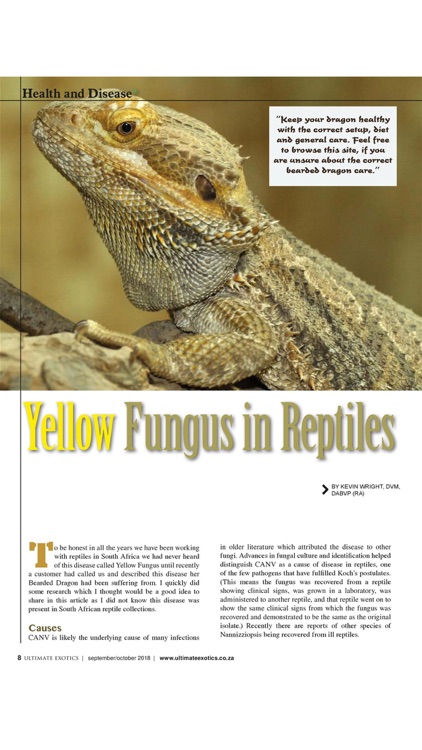 Ultimate Exotics Magazine