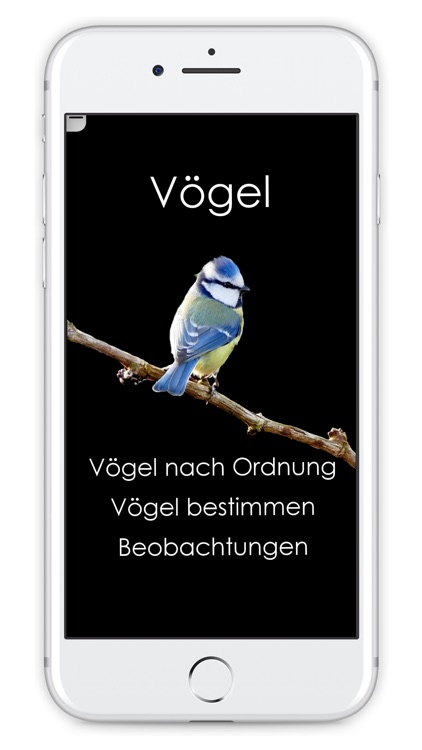 Vögel beobachten und bestimmen